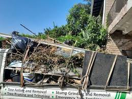 Best Property Management Cleanouts  in Lincoln, IL